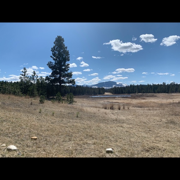 Meet your Posher, Steph - Picture 1 of 1